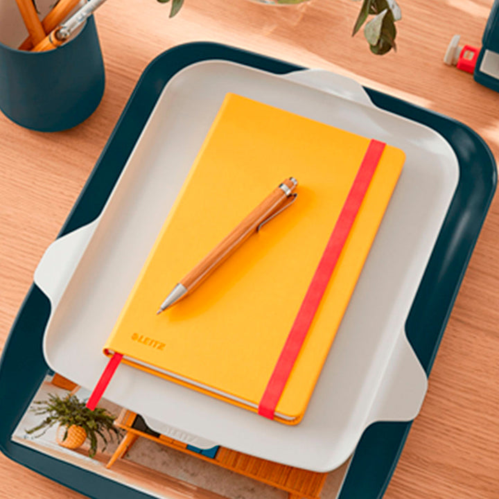 LEITZ Cosy - Bandeja Doble Para Cartas y Organizador de Sobremesa, Gris 