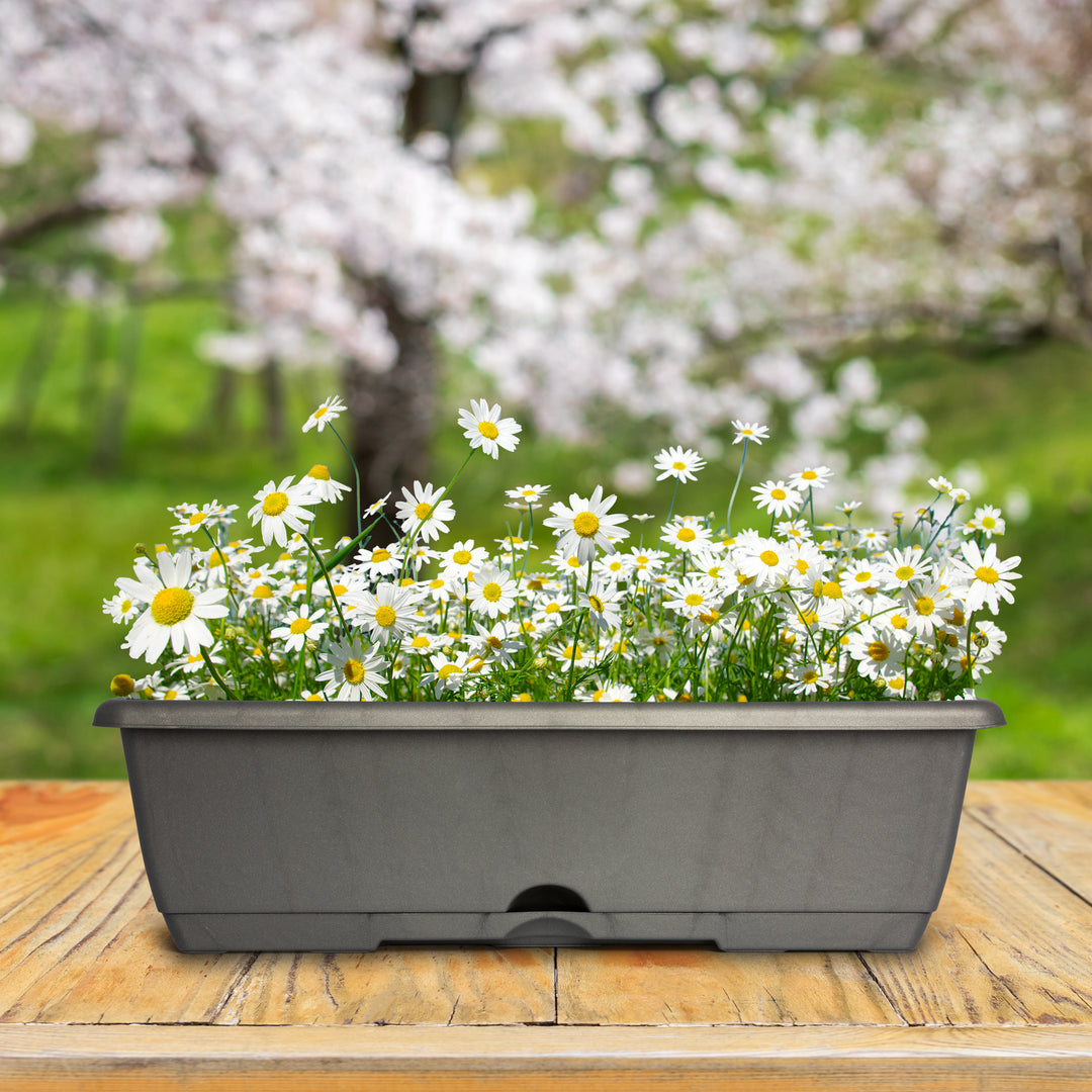 Plastic Forte - Lote de 2 Jardineras Balconeras 50 cm con Platos Integrados. Terracota