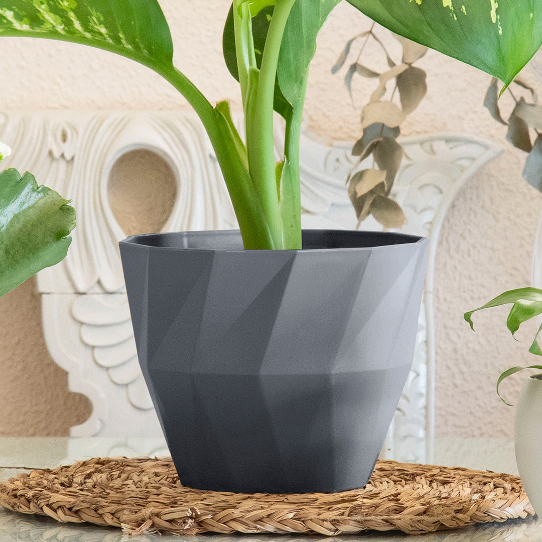 Areca Quartz - Maceta Redonda Decorativa 17 cm con Textura. Gris