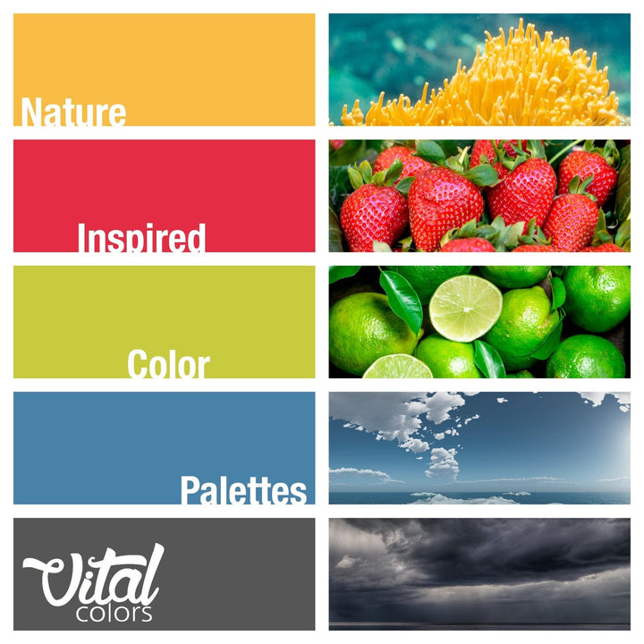 Carpeta Vital Colors con Pinza y Tarjeta para Nombre. A4+