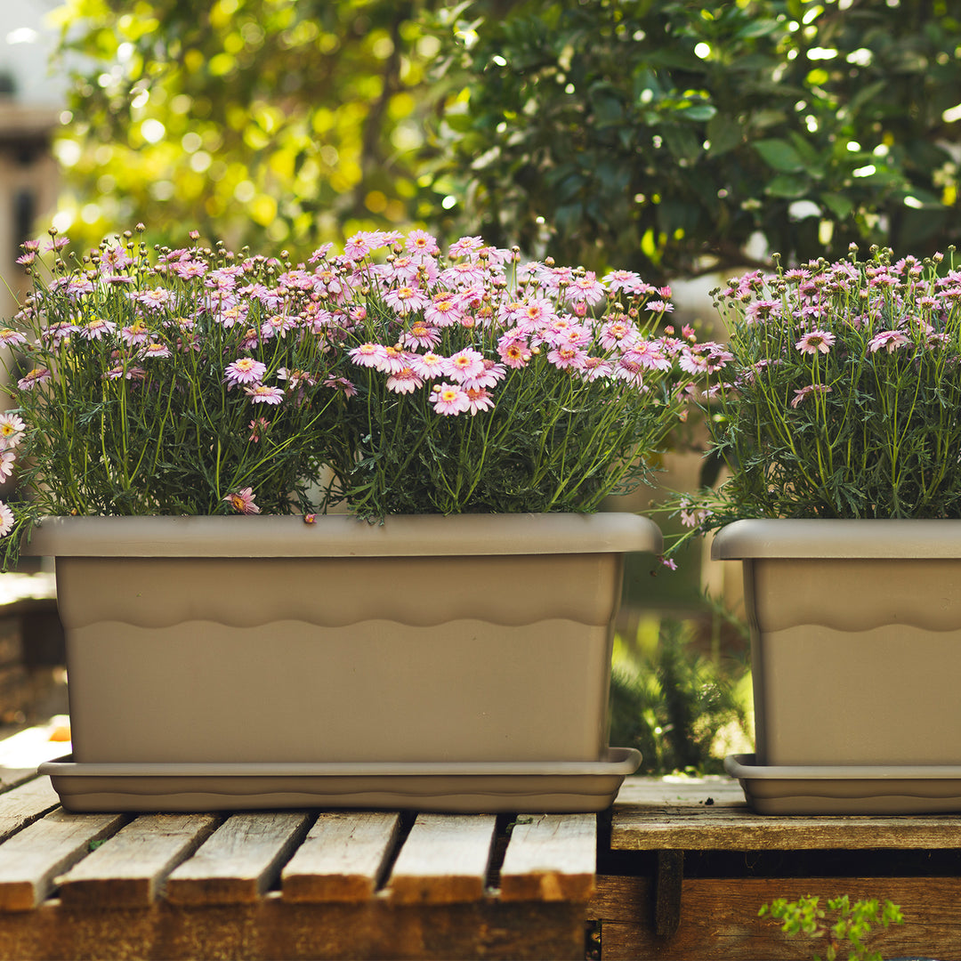 Plastiken TERRA - Jardinera Rectangular 60 cm 22L con Plato Incluido. Taupe