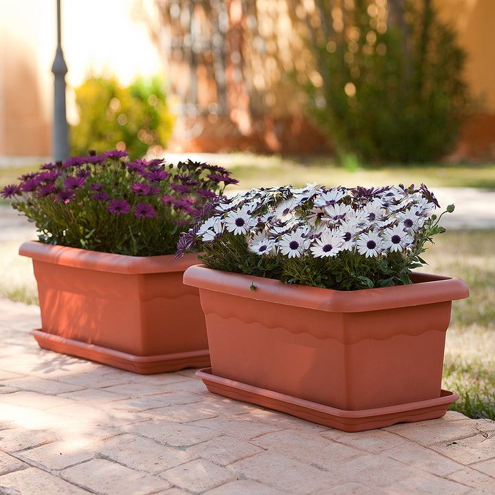 Plastiken TERRA - Set de 4 Jardineras con Platos Incluidos. Medida 50 cm 14L. Taupe