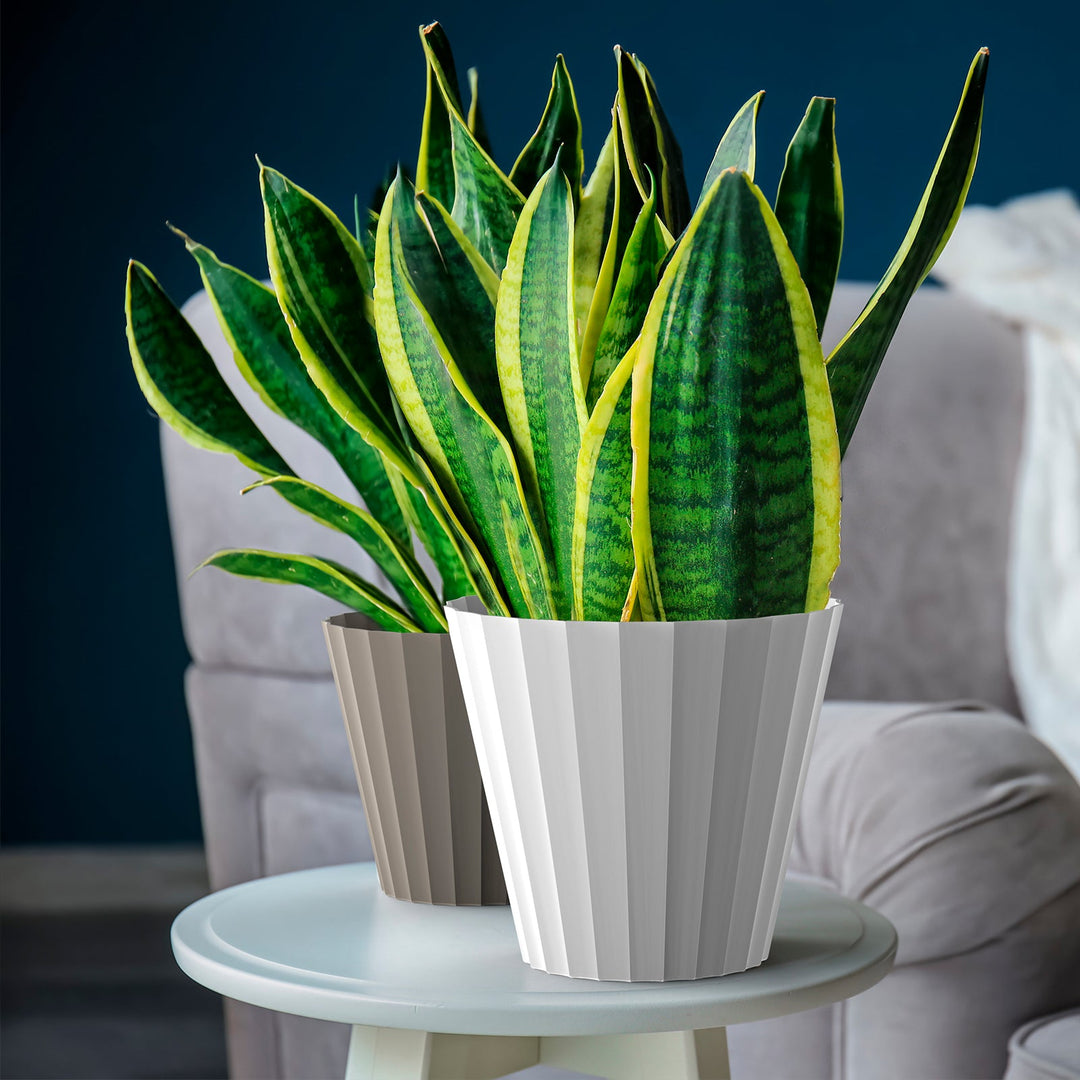 Plastiken 89001 - Maceta Redonda Colección DORIC. Medida 18 cm 2.5L