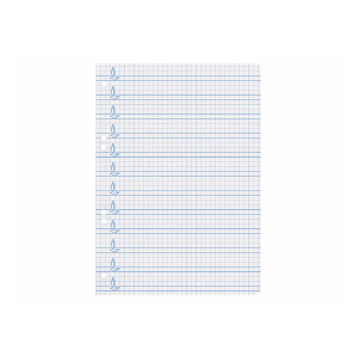 LIDERPAPEL - Recambio Liderpapel Cuarto Pautaguia 100 Hojas 75 G Cuadriculado Pautado 4 mm Con Margen 6 Taladros