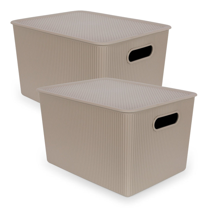 TATAY Baobab - Set de 2 Cajas Organizadoras 22L con Tapa en Plástico PP05. Taupe