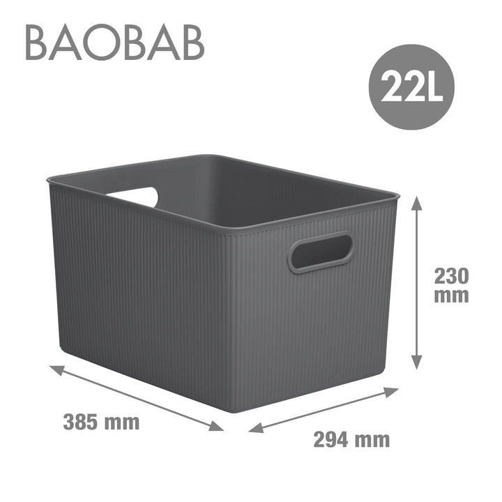 TATAY Baobab - Lote de 2 Cajas Organizadoras 22L con Tapa en Plástico PP05. Gris Antracita