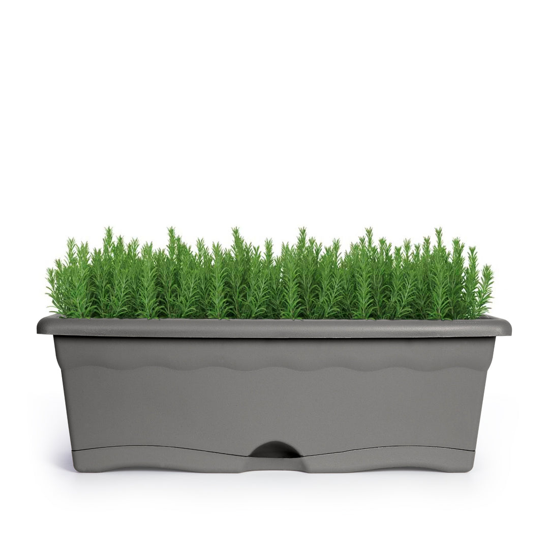 Plastiken TERRA - Set de 4 Jardineras con Plato Integrado. Medida 30 cm 6L. Antracita