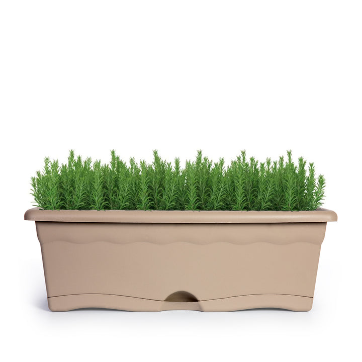 Plastiken TERRA - Set de 4 Jardineras con Plato Integrado. Medida 40 cm 8L. Taupe