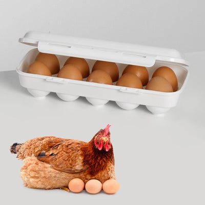 Plastic Forte - Doble Huevera Chick para Despensa y Nevera para 20 Huevos